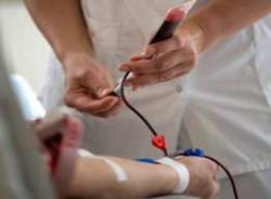 trasfusione di sangue