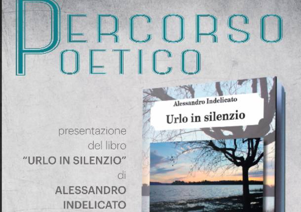 alessandro indelicato urlo in silenzio libro