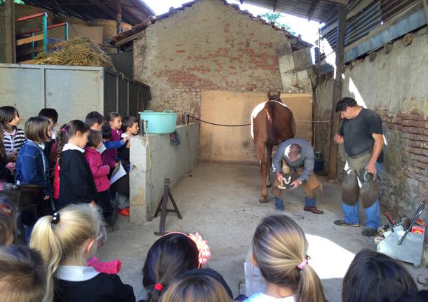 Apre AgriExpo a Villa Inzoli