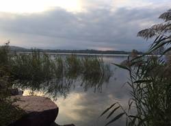 lago di piazza cazzago brabbia 29 settembre 2015