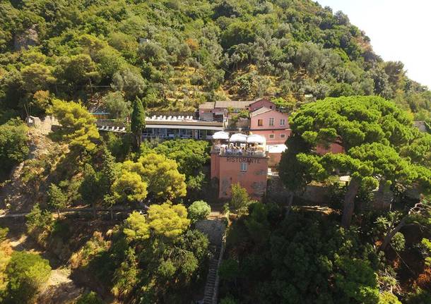 ristorante stella maris camogli