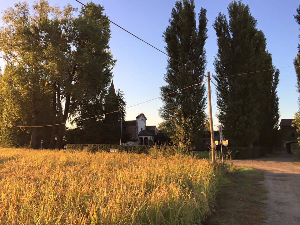 Via Francigena Lombarda da Mortara a Garlasco