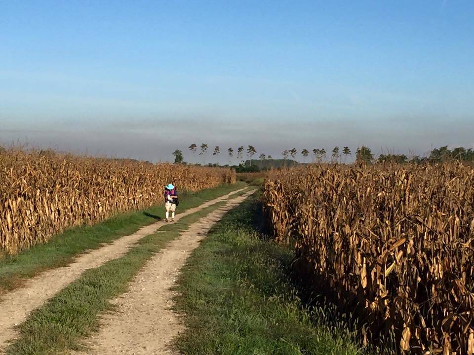 Via Francigena Lombarda da Mortara a Garlasco