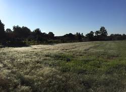 Via Francigena Lombarda da Mortara a Garlasco