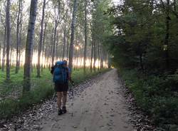 Via Francigena Lombarda da Mortara a Garlasco