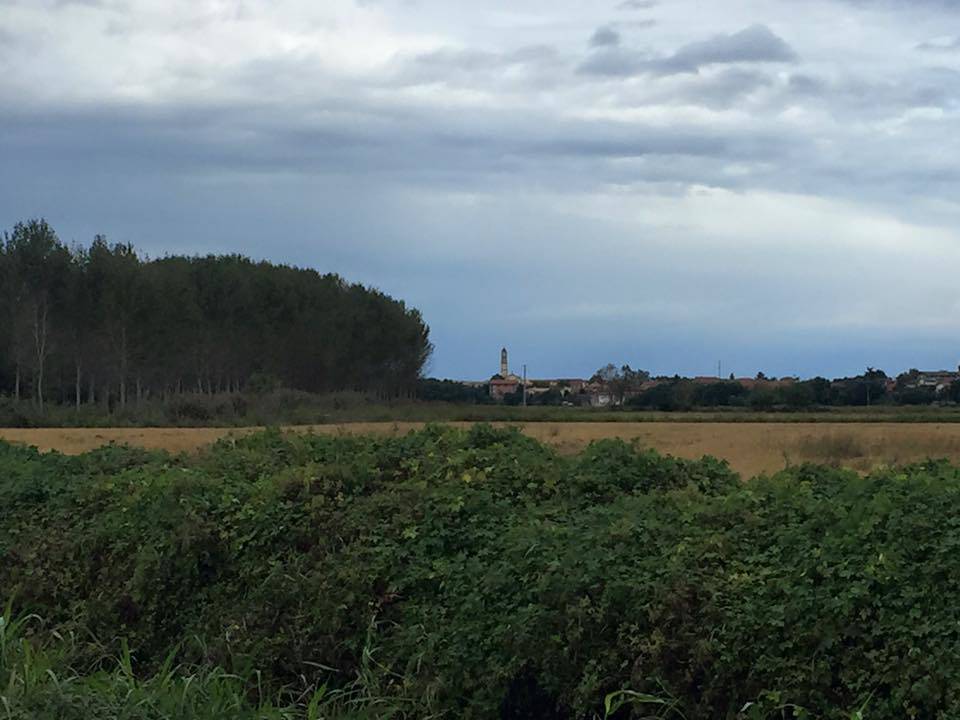 via Francigena Lombarda da Pavia a Santa Cristina Bissone