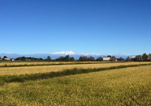 Via Francigena Lombardia: da Robbio a Mortara