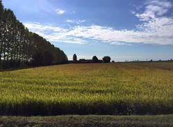 Via Francigena Lombardia: da Robbio a Mortara