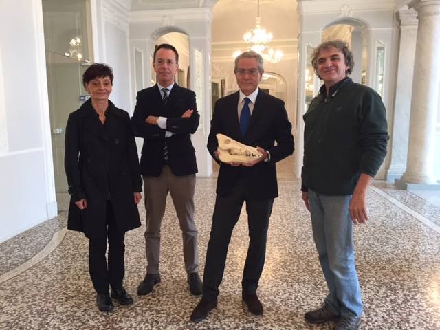 caccia cinghiale 29 ottobre 2015