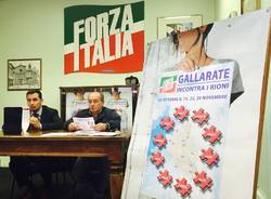 forza italia gallarate