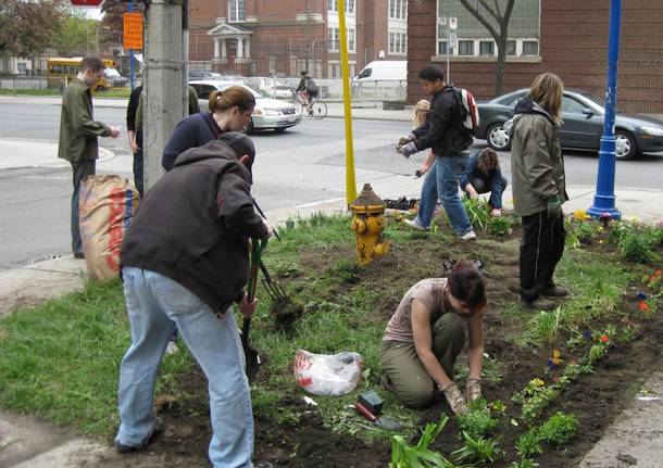 guerrilla gardening