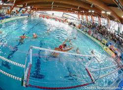 serie a pallanuoto busto arsizio bpm sport management trieste