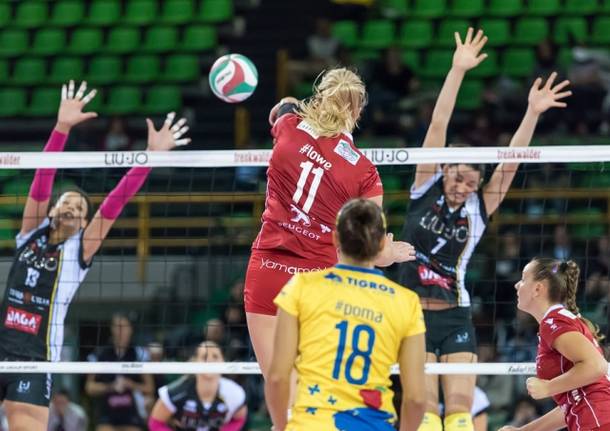 karsta lowe pallavolo modena