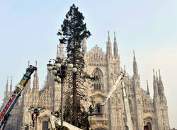 albero di natale duomo di milano dicembre 2015