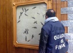 Guardia di Finanza, operazione "Era Glaciale"