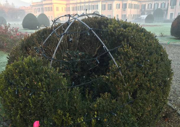 L'albero di Natale di piazza Monte Grappa