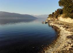 Lungo lago di Ispra