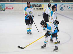 varese killer bees hockey