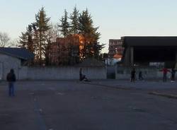 Gallarate cricket area mercato