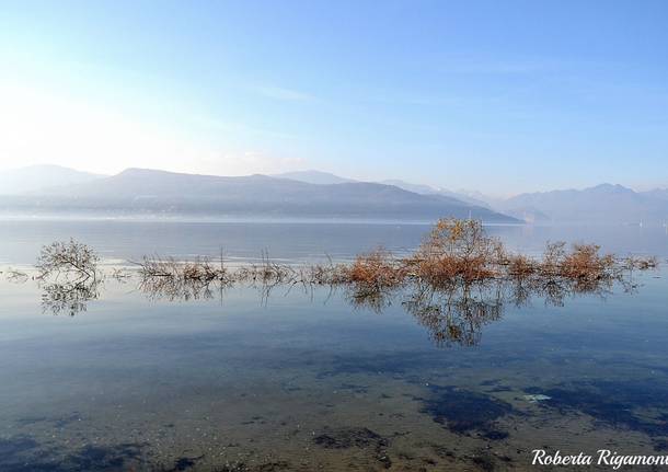 Lago Maggiore