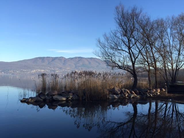 Cazzago Brabbia, il lago d'inverno