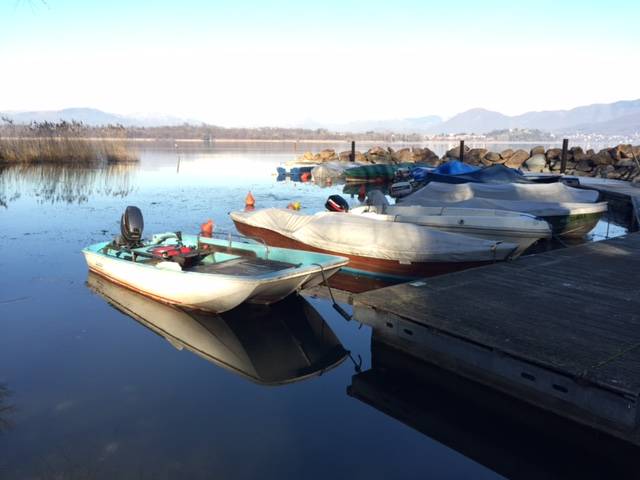 Cazzago Brabbia, il lago d'inverno