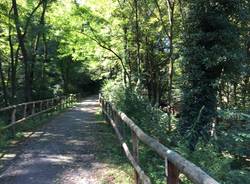 Cadegliano Viconago e il Parco dell'Argentera