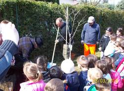 Festa degli alberi a Bodio Lomnago