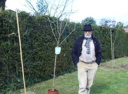 Festa degli alberi a Bodio Lomnago