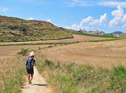 Il cammino di Santiago