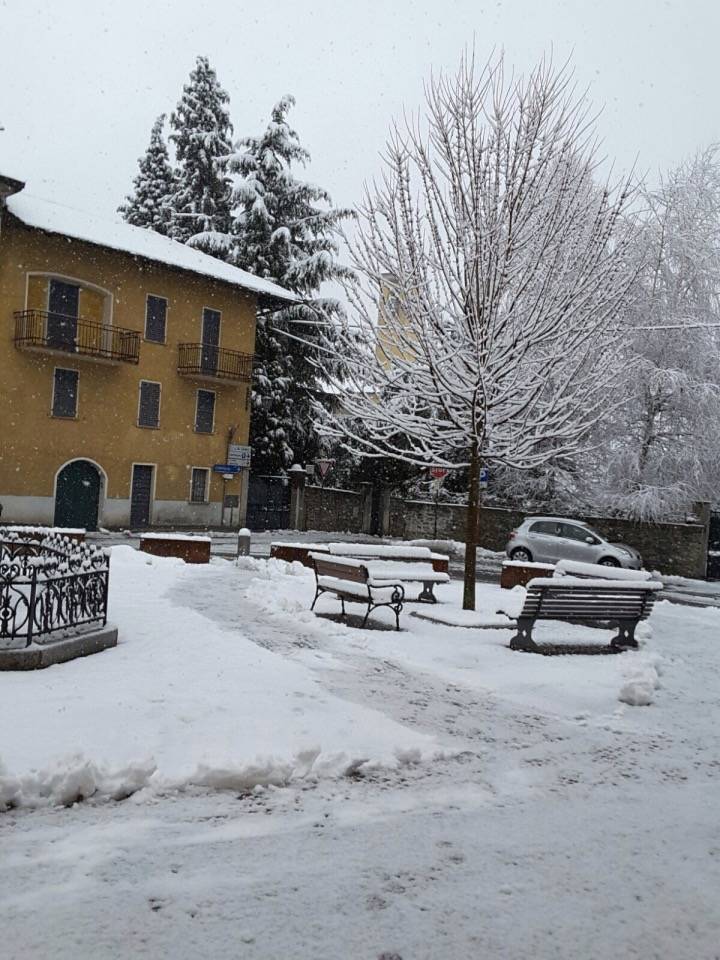 Neve, fiocchi e spolverate