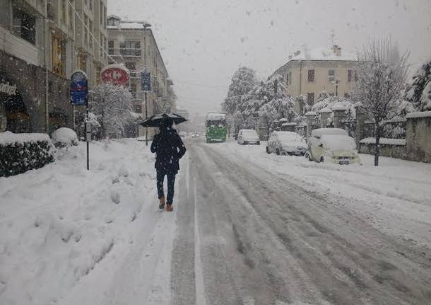 Nevicata di marzo 2016