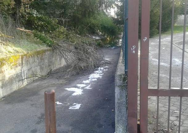 Ghiacci e alberi caduti attorno alla scuola Letizia Verga