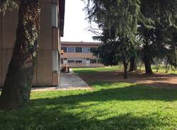 scuola scuole Cedrate Gallarate De Amicis primaria elementari