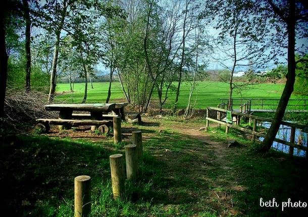 Il sentiero delle rane nel Parco Pineta - foto diElisabetta Vitellozzi