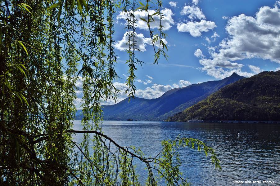 Luce e Azzurro a Maccagno