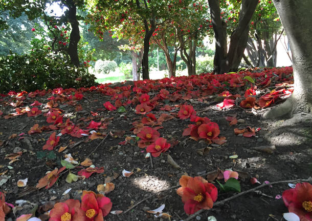 Mattina di primavera a Villa Mirabello