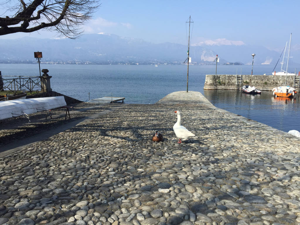 Olmo e Guendalina a Cerro di Laveno Mombello 