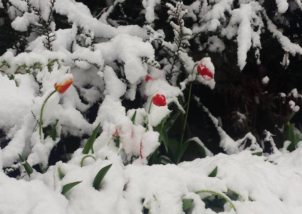 La neve a fine maggio