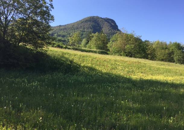 la pista ciclabile cuveglio - rancio valcuvia