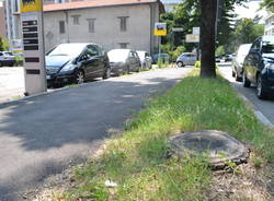 Gli alberi del Viale della Gloria