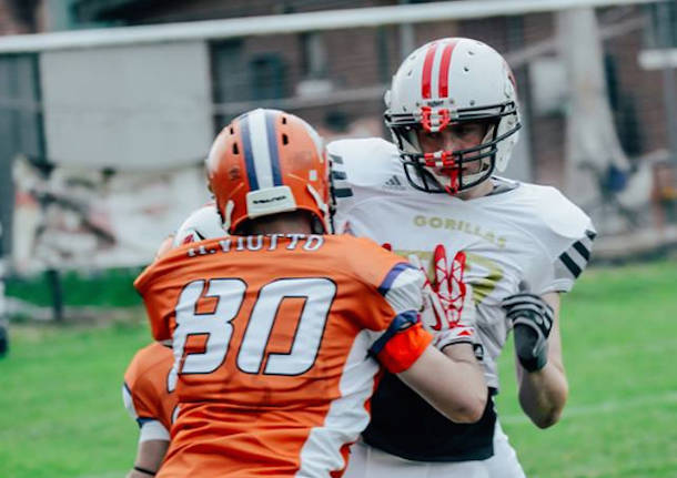 gorillas varese football americano