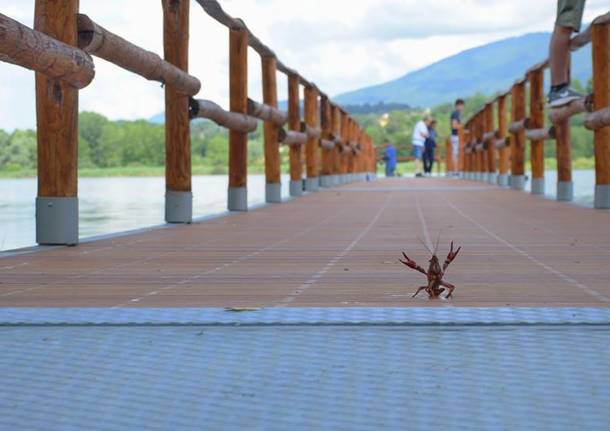 Il saluto del Gambero Rosso sul pontile