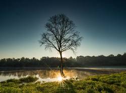 L'alba alla Lagozza di Besnate - foto di Rossano Ferrari