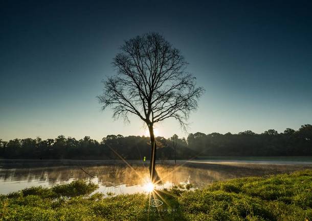 L'alba alla Lagozza di Besnate - foto di Rossano Ferrari