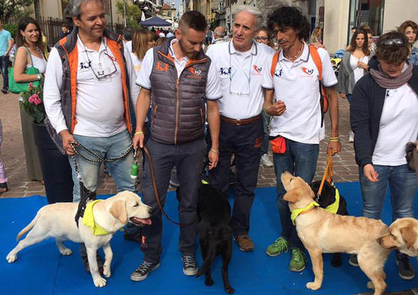 pet therapy piazza san giovanni