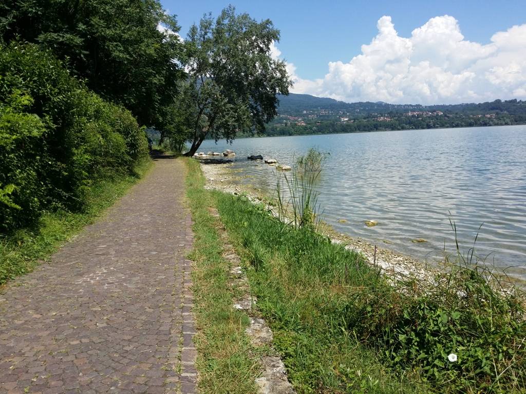 piante aliene lago di Varese