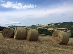 Via Francigena: Fidenza - Medesano