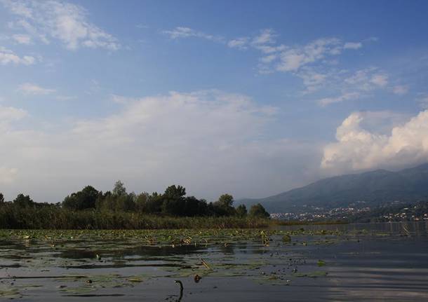 Il lago da vicino