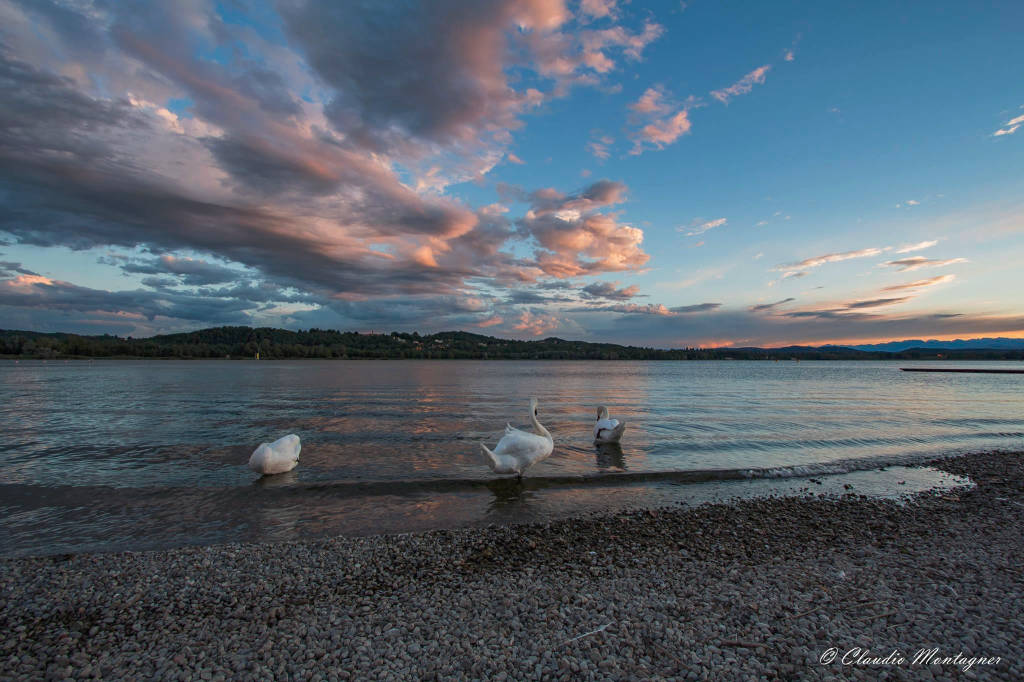 Magico tramonto alla Schiranna (foto di Claudio Montagner)